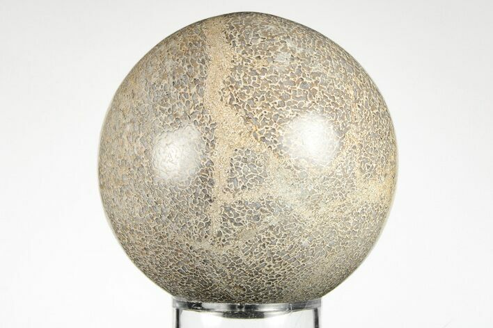 Polished Agatized Dinosaur (Gembone) Sphere - Morocco #198504